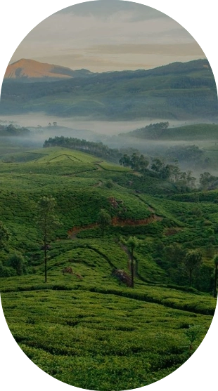 Beyond Eco Living, Adimali, Idukki, Kerala
